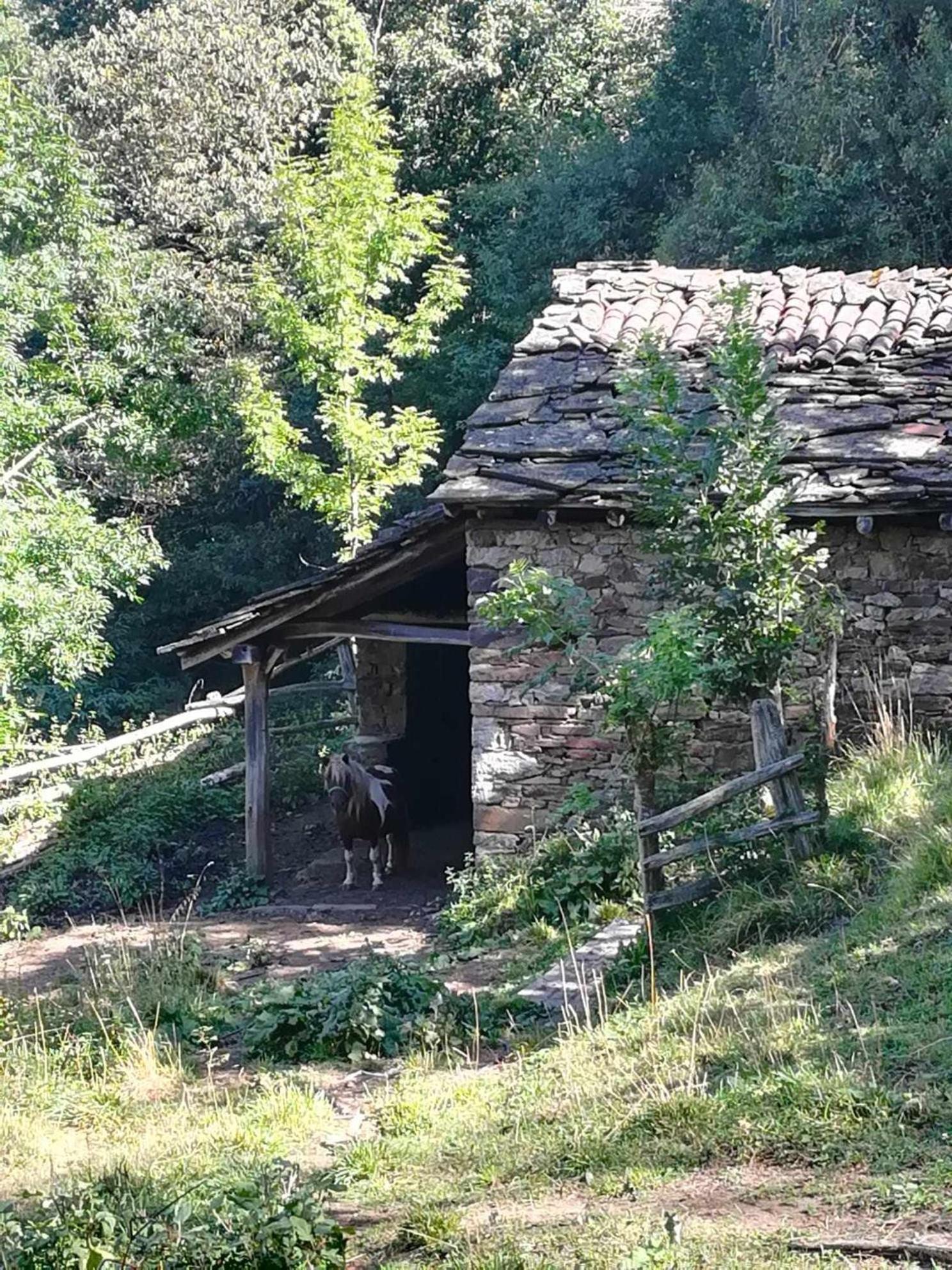 Apartament Asturias Boho Chic Aller Zewnętrze zdjęcie