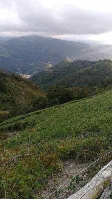 Apartament Asturias Boho Chic Aller Zewnętrze zdjęcie